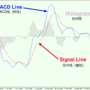 最简单有效的MACD交易策略