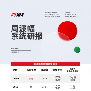 2月17日 XM周波辐系统研报