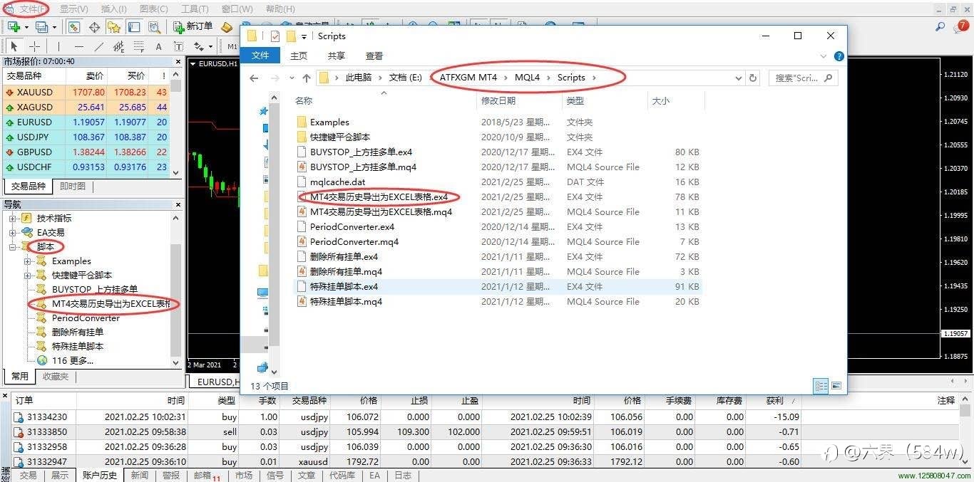 MT4交易历史导出为EXCEL表格